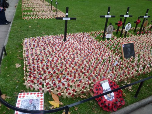 Field of Remembrance, 11th November 2014