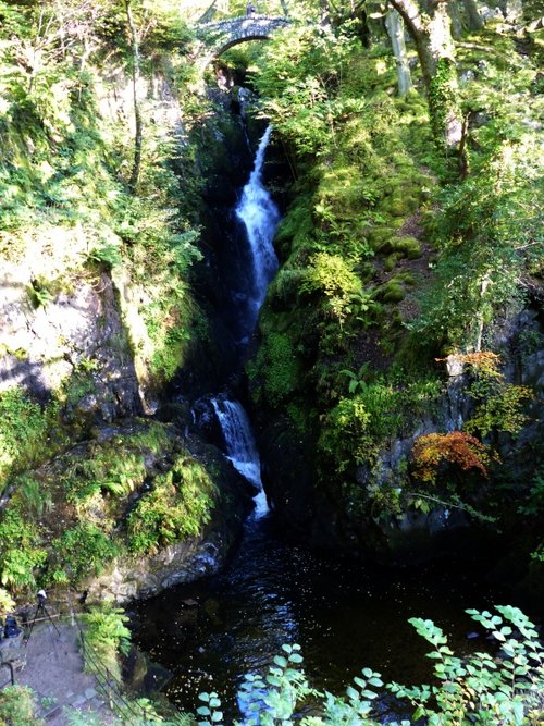 Aira Force