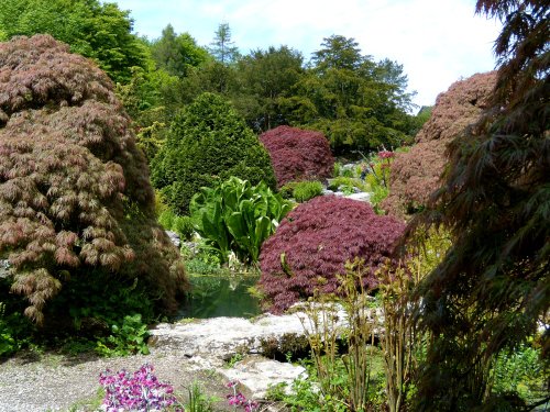 Sizergh Castle gardens