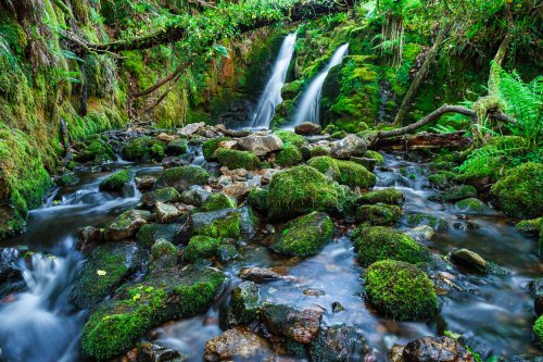 Secret Falls - Dartmoor National Park