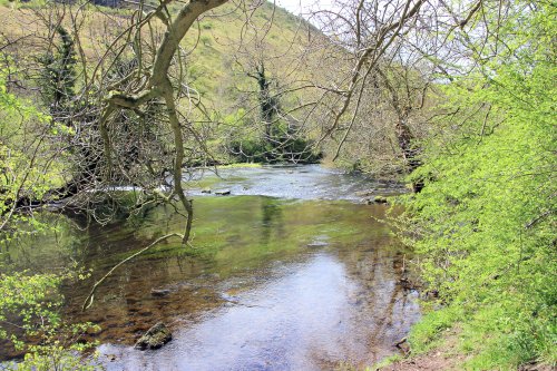 Lovely walking trail along water and green at Monsal Head