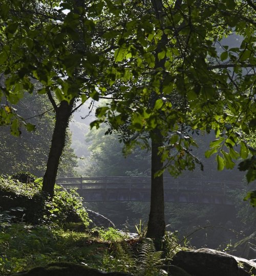 East Lyn Valley, Lynmouth