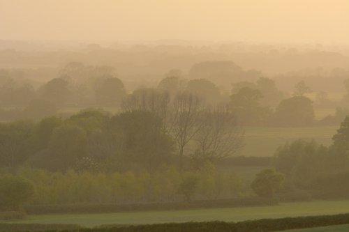 Misty Evening, near Stratton Audley, Oxfordshire