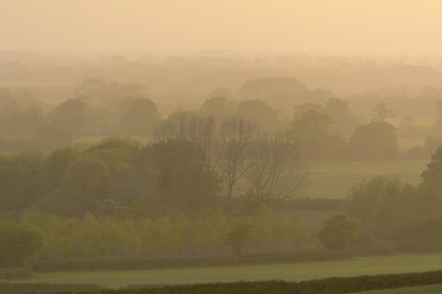 Misty Evening, near Stratton Audley, Oxfordshire