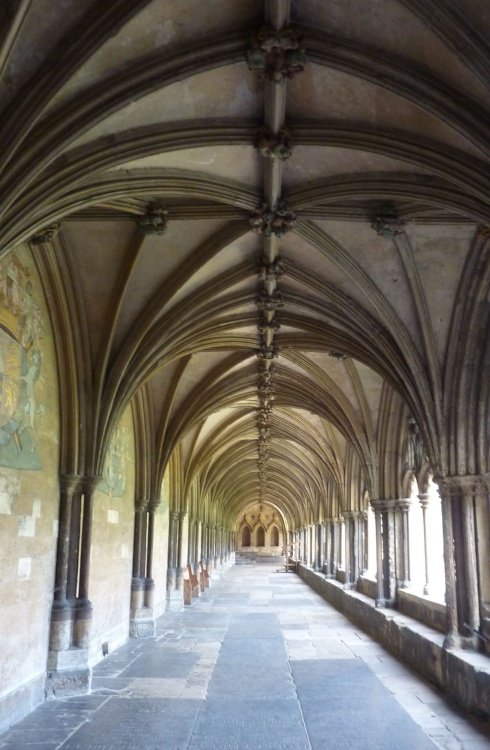 Norwich Cathedral Cloister - Norwich, Norfolk