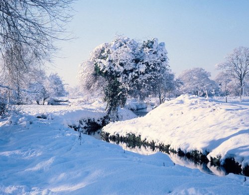 river Pinn (winter 1979\80)