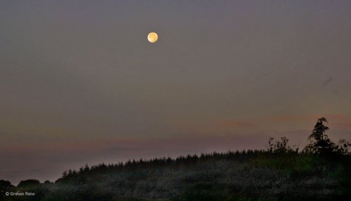 Morning Moon, North Dorset Trailway.