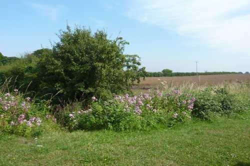 Light Railway Ride - Walsingham to Wells