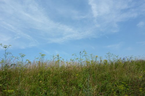 Light Railway Ride - Walsingham to Wells