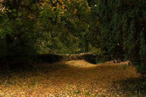 Late Afternoon in the Churchyard, Mixbury, Oxfordshire