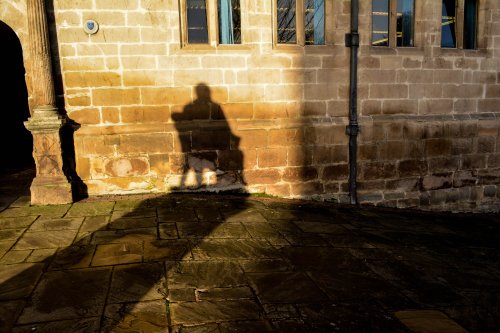 In The Shadow of Darwin