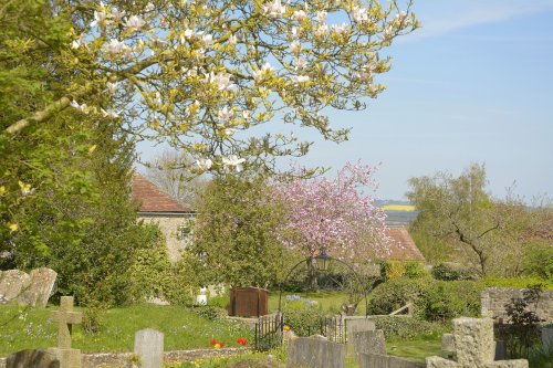 Spring from the Churchyard, Stanton St.John, Oxfordshire