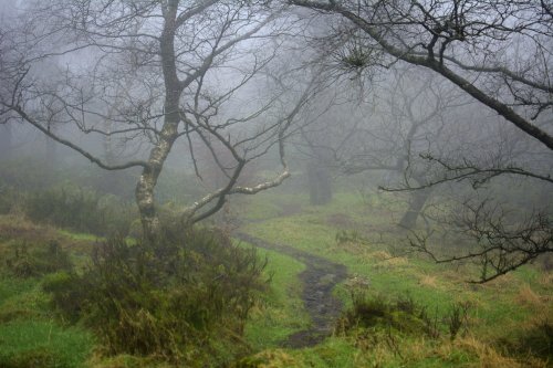 Foggy Path, The Roaches, Upper Hulme, Staffordshire