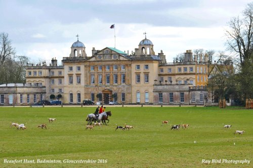 Beaufort Hunt, Badminton, Gloucestershire 2016