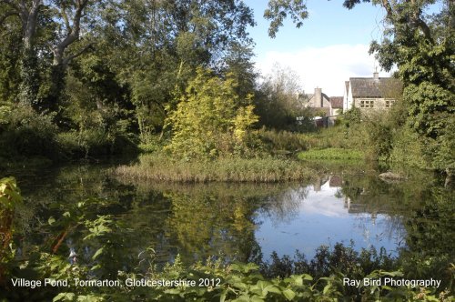 The Village Pond, Tormarton, GLoucestershire 2012