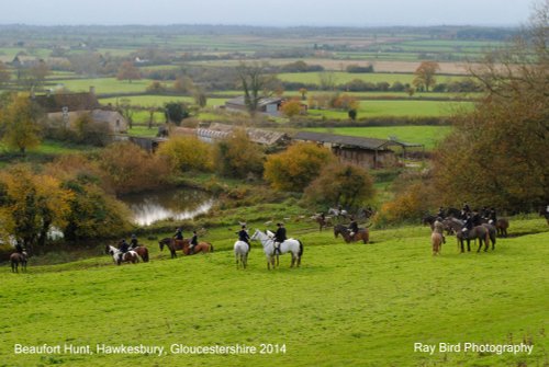 Beaufort Hunt, Hawkesbury Banks, Gloucestershire 2014