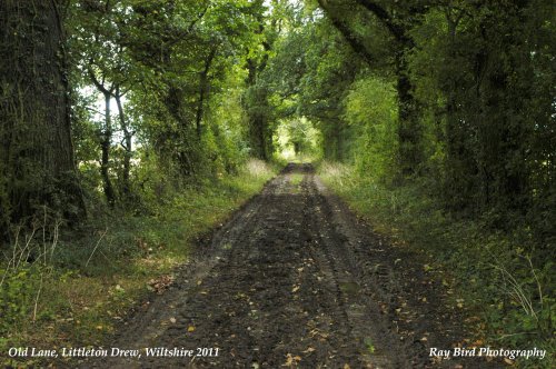 The Old Lane, Littleton Drew, Wiltshire 2011