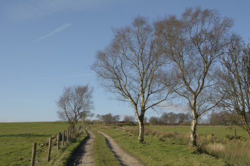 Farm Track on Gun Hill near Meerbrook, above Leek, Staffordshire
