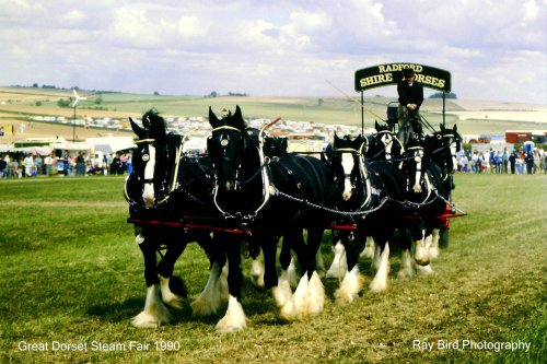 Great Dorset Steam Fair, Tarrant Hinton, Dorset 1990