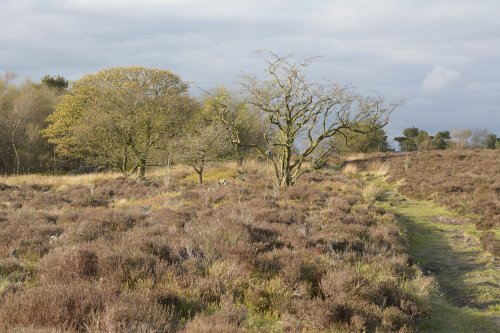 Gun Hill above Meerbrook, Staffordshire Moorlands