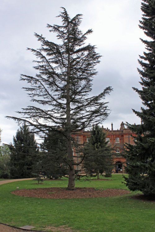 Hughenden Manor