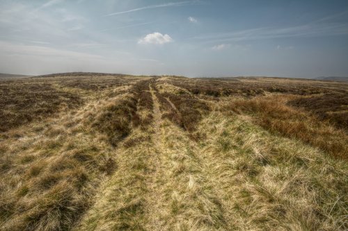 Watershed Point, Axe Edge Moor near Buxton, Derbyshire