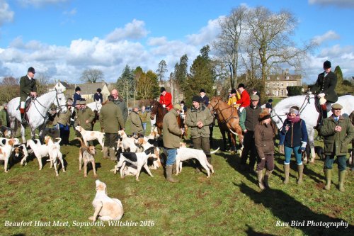Beaufort Hunt Meet, Sopworth, Wiltshire 2016