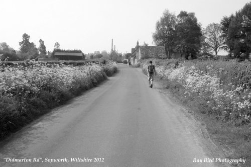 Didmarton Road, Sopworth, Wiltshire 2012