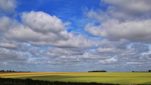Beautiful field on the walk to the free National Trust viewpoint of Stonehenge