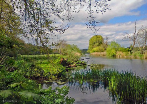 North Dorset Trailway