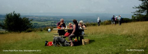 Picnic Area, Coaley Peak, nr Coaley, Gloucestershire 2013
