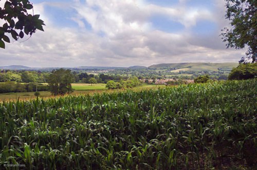 Shillingstone Dorset