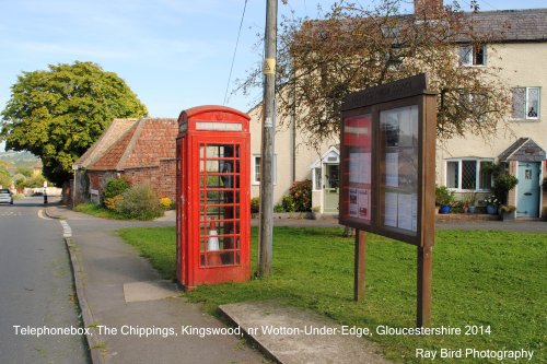 Kingswood, nr Wotton Under Edge, Gloucestershire 2014