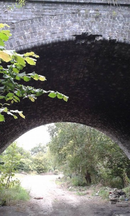 Catcliffe disused Railway Viaduct