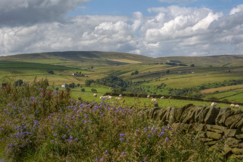 Farmland above Hollinsclough, Staffordshire Moorlands