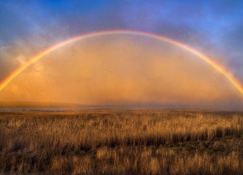 Rainbow over the Crayford Marshes