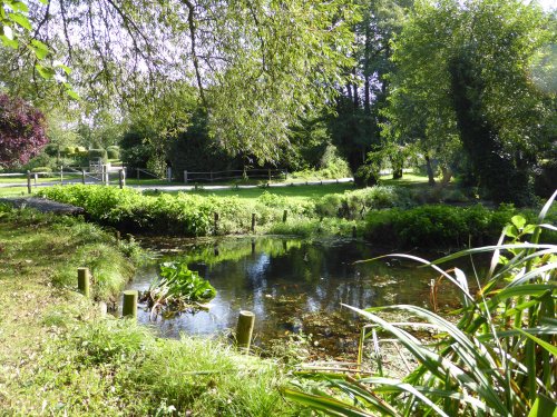 The Nature Reserve Pond at West Itchenor, West Sussex.