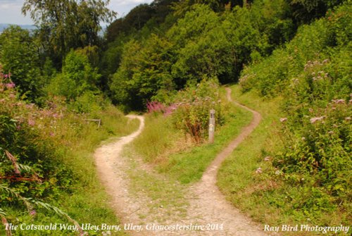 The Cotswold Way, Uley, Gloucestershire 2014