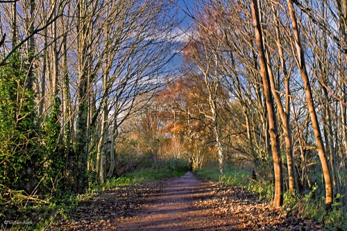 Shillingstone, Dorset