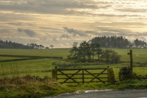 Farm Gate at Gun Hill above Meerbrook, Staffordshire Moorlands