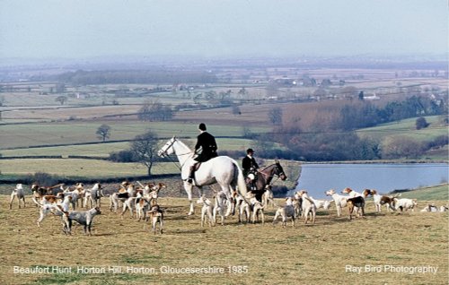Beaufort Hunt, Horton Hill, Horton, Gloucestershire 1985