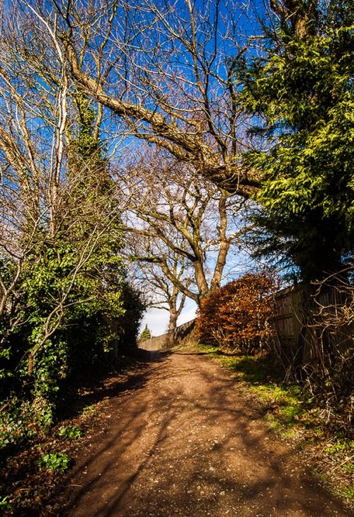 At the bottom of Ticklepenny Walk