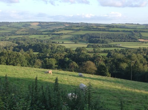 View across the Vale of Taunton Deane from Timewell in Devon.