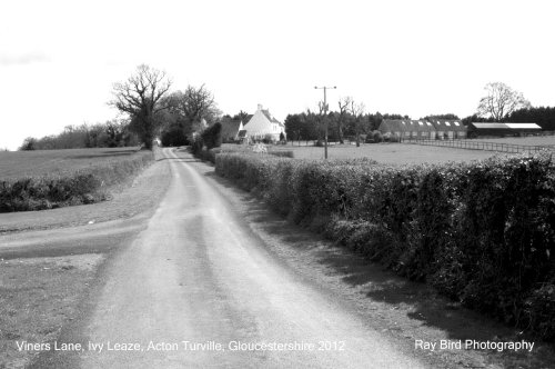 Viners Lane, Ivy Leaze, Acton Turville, Gloucestershire 2012