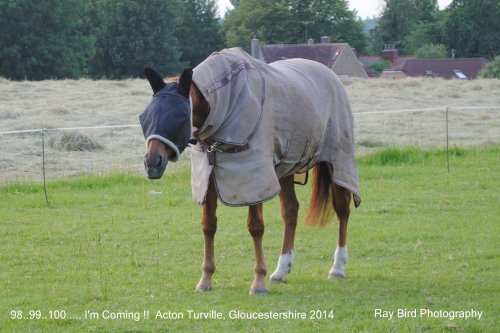 Summer Gear !! Acton Turville, Gloucestershire 2014