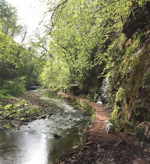 Brampton, Cumbria, river Gelt