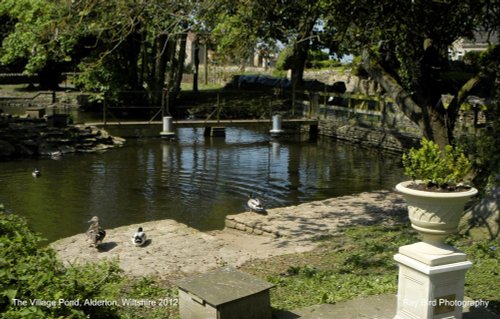 The Village Pond, Alderton, Wiltshire 2012