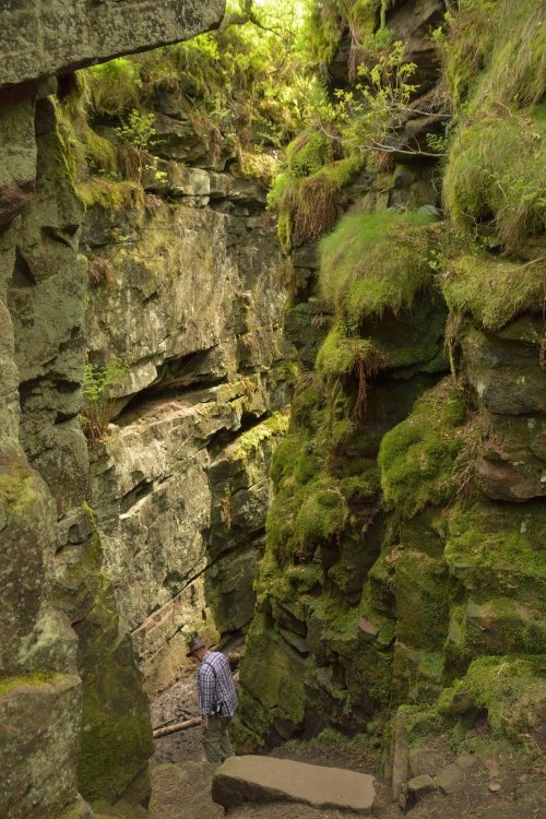 Lud's Church, below The Roaches near Gradbach, Staffordshire