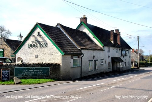 The Dog Inn, Badminton Road, Old Sodbury, Gloucestershire 2017