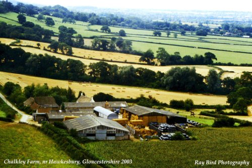 Upper Chalkley Farm, nr Hawkesbury, Gloucestershire 2003